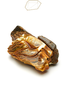 Amber stones